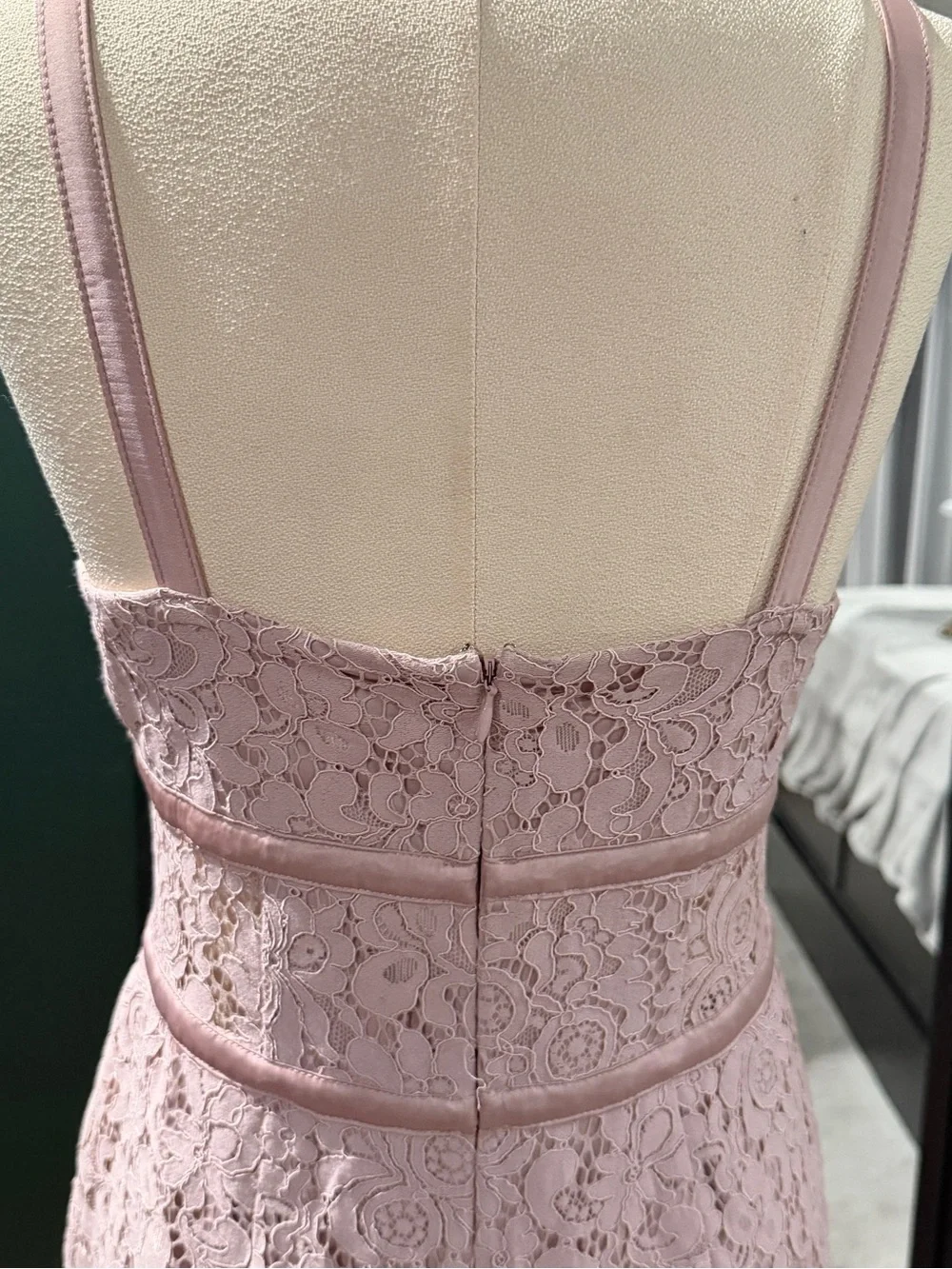 Express Pink Lace Midi Dress